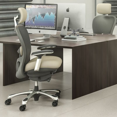 Ergonomic Home Office Chair